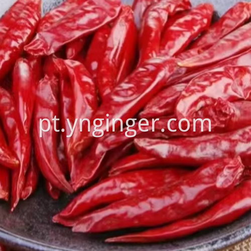 pimenta seca 11 dried chili pepper 11
